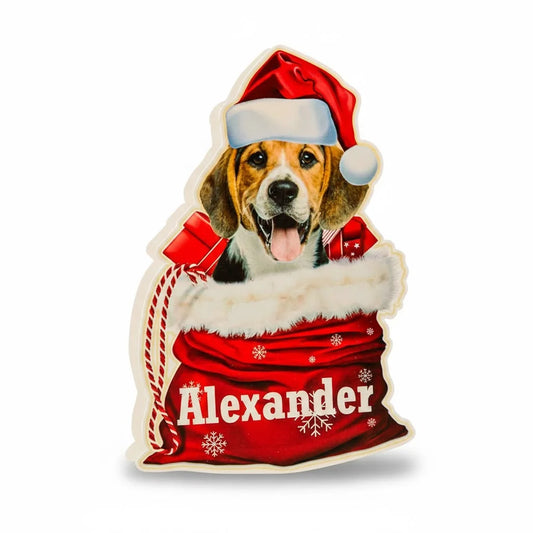 Personalized Pet Night Light