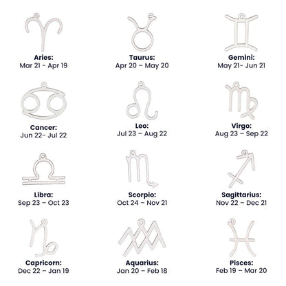 Zodiac Necklace for Sister